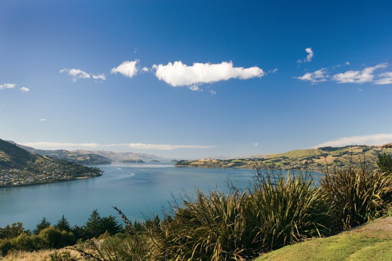 Dunedin - Celebrity Cruise