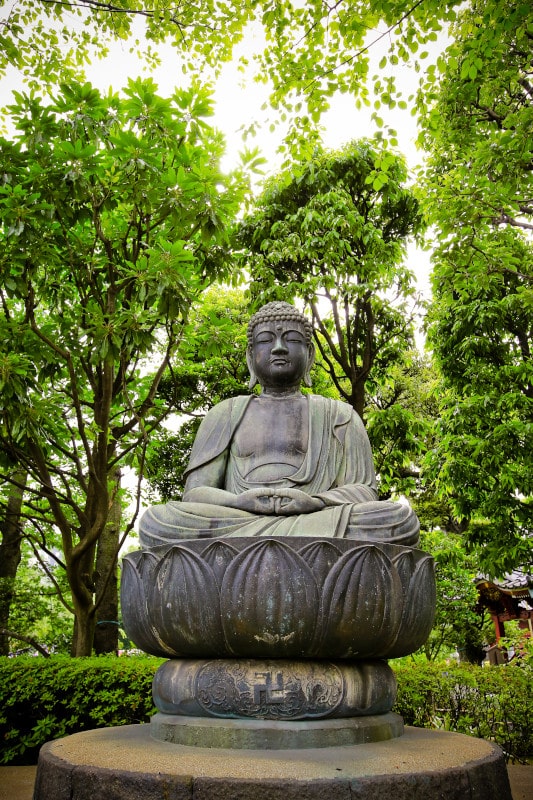 Kochi